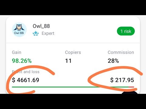 Full explanation all about Copy Trading on OctaFX for prisoners #copytrading #octafx
