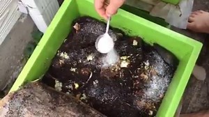 5K views · 86 reactions | Worms are one of the best ways to recycle...