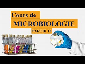 Cours microbiologie partie 15 : les besoins spécifiques des bactéries