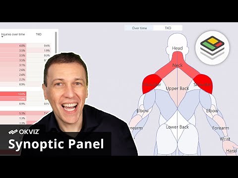 Displaying injury data on the human body by using Synoptic Panel in Power BI