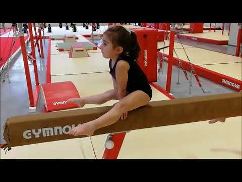 Gymnastique Filière Performance 2014 à 2011 - Novembre 2018