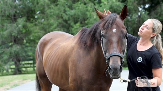 🗣 “Raising awareness about a problem is the first step to solving it.” After saving two horses - My Lil Dude and Drive for Fun - from a kill pen, Resolute Farm & Racing’s John Stewart aims to do more to end horse slaughter. 🎥 Watch the TDNtv feature: youtu.be/BwIT_jt0VEY?si=WgjfINR0kSVP-EL4 | Thoroughbred Daily News