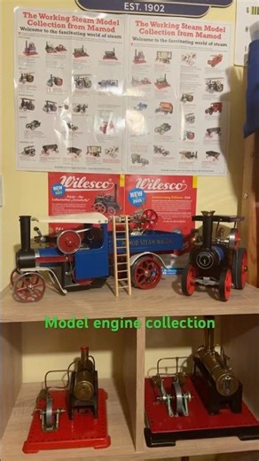 Model engine collection #mamod #wilesco #steamengine #modelengine #steamingcrazy
