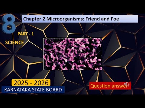chapter 2 microorganisms friend and foe