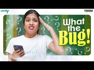 What The Bug! | Wirally Originals | Tamada Media