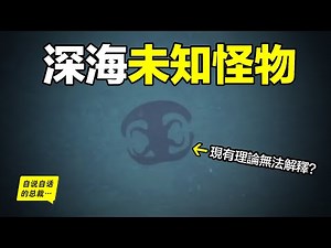 深海：無法解釋的動物『隱身』，飛碟姿態？紅色隱身？為什麼變透明是最愚蠢的戰術？從0米到10000米，潛入深淵最底層，人類，原來根本不懂深海……|自說自話的總裁