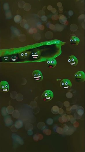 Before and After trending video 😱🪴🌿🫶💚#nature #photography #edit #trending