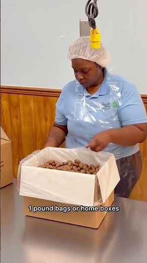Papershell Pecans
