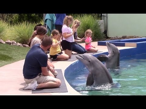 Dolphin Encounter - Mississippi Aquarium - July 22, 2022
