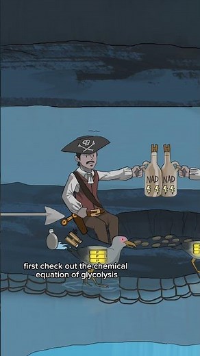 Learn glycolysis for the MCAT (part 1)