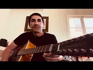 The Steve Gannon 12 String Texan framus guitar