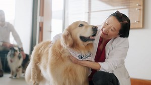 A $6 million thank you: Man buys Super Bowl ad to thank vet school that saved his dog