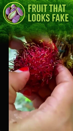 This Alien‑Looking Fruit Has the Most Satisfying Reveal