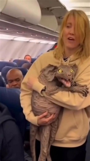 It doesn’t look friendly. | Pin Lounge