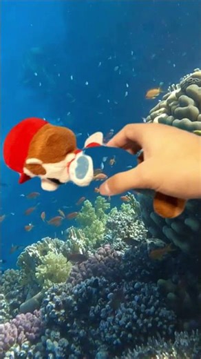 Mario swimming underwater #mario