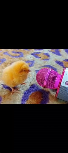 ok. #fyp #limbuscompany #ishmaellimbuscompany #ishmael #projectmoon | helga sinclair edit