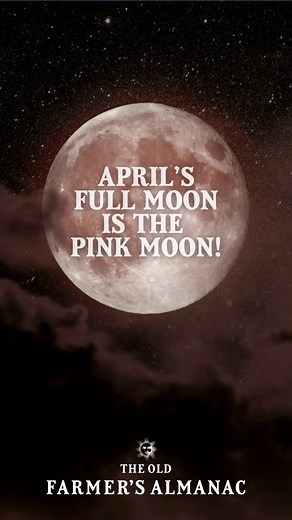 Traditionally called the Pink Moon, this full Moon is also the Paschal full Moon this year. Here’s everything you should know about the Moon this month, including facts, folklore, and Moon phase dates: Almanac.com/content/full-moon-april | The Old Farmers Almanac