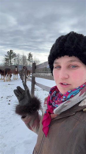 Bromance on the Farm: Unveiling Friendship