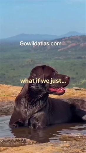 What if “one day” was 14 days from now?GoWildAtlas.com