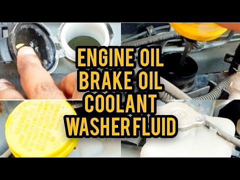 Fluids and oil levels inside engine bay | renault triber self maintenance | 3 months & 50th video