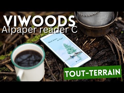 Viwoods AI Paper Reader C : une liseuse couleur boostée à l'IA dans mon EDC (retours de terrain)