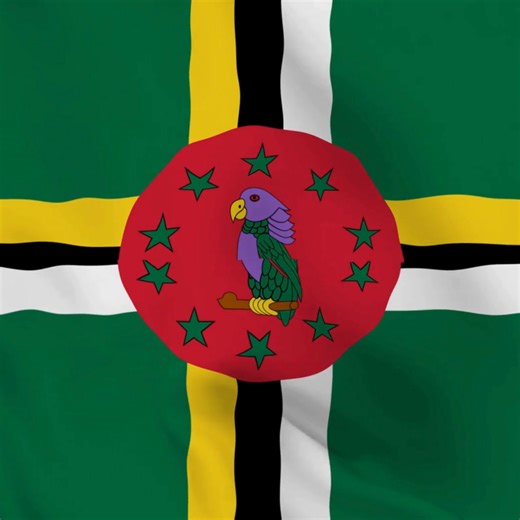 🇩🇲✨ **Happy National Flag Day, Commonwealth of Dominica!** ✨🇩🇲 Today, we proudly raise our **🇩🇲 flag** — a symbol of **unity, resilience, and faith** in the heart of the Nature Isle. 💚💛🖤🤍❤️ From our **lush green mountains** 🌿 to our **sparkling rivers and seas** 🌊, the Dominican spirit shines bright wherever our flag waves. 🇩🇲 Let’s celebrate our **heritage, culture, and strength as one people** — bound together by love for this blessed land. 💪🏾🇩🇲💚 🎶 *“Isle of beauty, isle of