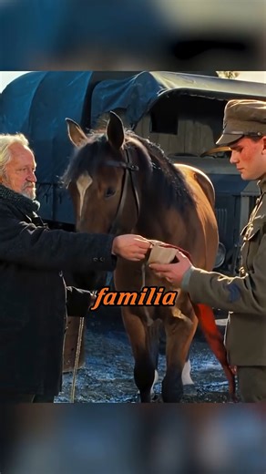 374K views · 18K reactions | 殺 Dos soldados enemigos deciden salvar a un caballo  | Películas Ava | Facebook