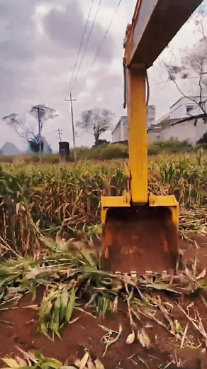 One excavator operation can replace the workload of at least 5 farmers, do u agree? #undercarriagesupplier #excavatorpartsfactory #hydraulicpump #construction #pc #dozerpartssupplier #tracklinkfactory #rubbertrackfactory #ExcavatorsAccessories ##heavyduty