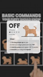 1K reactions · 254 shares | Stop the naughty, start the nice! Try Woofz - Positive dog training app!  | Woofz | Facebook