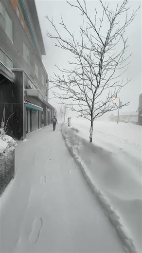 Meteorologist Justin Perry - North Shore Weather Service on Reels