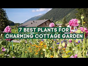 7 Best Plants for a Charming Cottage Garden 🌼🌸✨