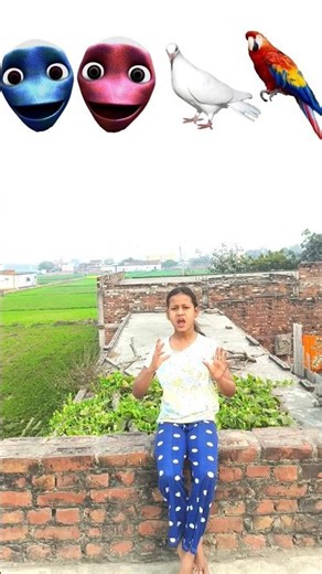 Rounding Alien to Duck, Peacock,Pigeon& Parrot - Birds names magic video