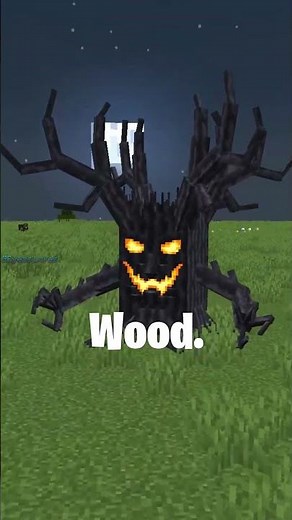 Testing scary minecraft mods...