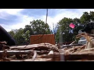 Using The Arbalest Penetrating Bolt Gun on A Guinea Pig (old model)