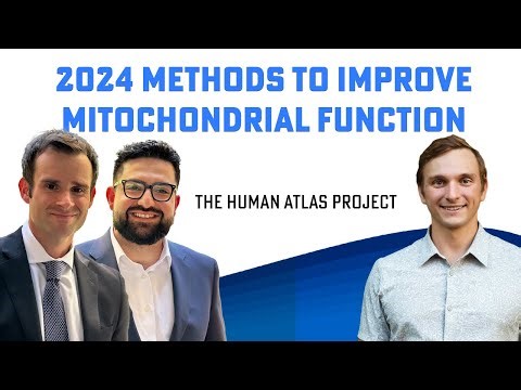 2024 methods for improving mitochondria | Scientifically validated