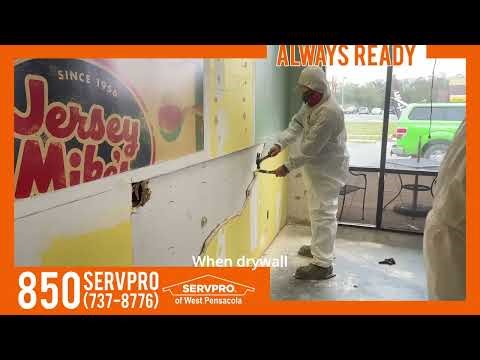 SERVPRO of West Pensacola: Mold Remediation Experts in Action