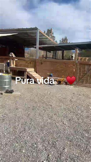 TARANGO (@rosa.tarango)’s videos with sonido original - TARANGO