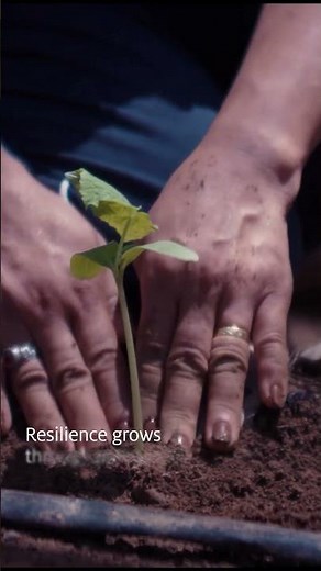 Resilience Begins at the Source | Building Stronger Supply Chains Through Partnership