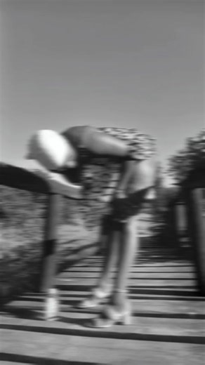 Discover the Latest in TikTok Trends