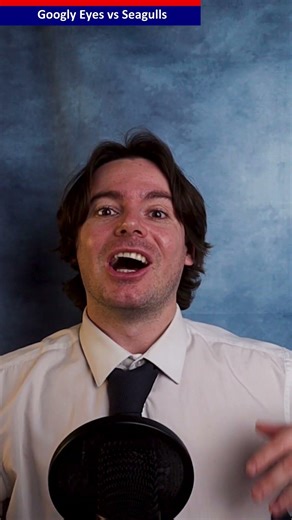 Googly Eyes Scare Seagulls