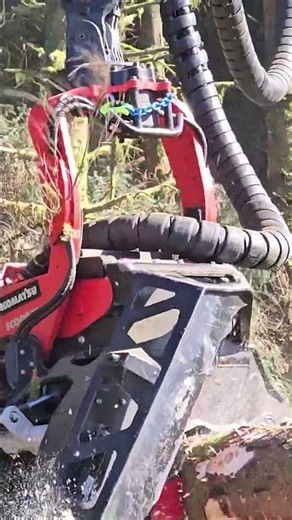 A closer look at Komatsu's C164 head and Komatsu 951XC in action 🔥