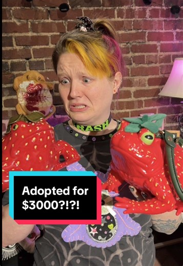 Adopt a Unique Strawberry Frog Purse Today!