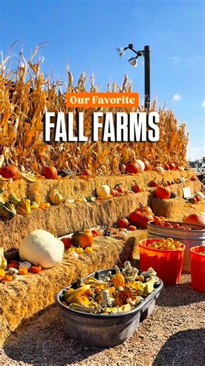🎃 OUR FAVORITE FALL FARMS AROUND BOISE If you haven’t made your fall farm rounds yet, here’s your sign 👇 These local spots are perfect for pumpkin picking, wagon rides, and fall photos! The season is winding down, so if you haven’t gone yet, now is the time. 🍎 Cherry Hill Farms 📍 19125 Apricot Ln, Caldwell @cherryhillfarms.idaho 🎃 Pumpkin Palooza 📍 1133 W Chinden Blvd, Meridian @pumpkinpaloozatv 🐴 Pony Express Ranch 📍 65 W Lake Hazel Rd, Meridian @ponyexpressranch 🌽 Ten Mile Farms 📍 50
