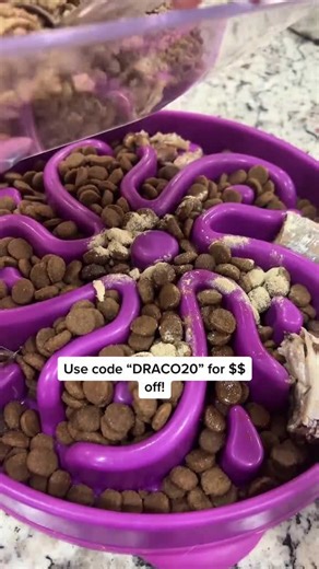 Affordable Kibble Toppers to Boost Your Dog’s Meals