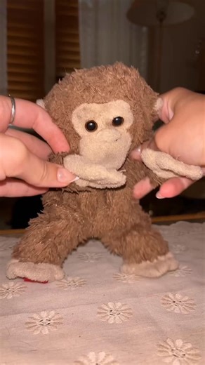 Spot on Instagram: "Monkey loves jammin with you!!! Comment 🙈 to say Hi to Monkey"