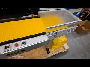 Item Counting Conveyor With Diverting Box Filler Switch