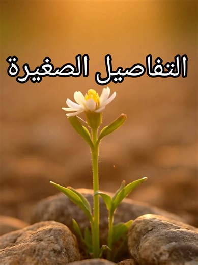 الامتنان هو العدسة التي تجعل الأشياء العادية تبدو استثنائية. قدّر لحظاتك البسيطة، فهي التي تصنع سلامك الحقيقي. ✨🌿 ​Gratitude is the lens that makes ordinary things look extraordinary. Appreciate your simple moments; they are what create your true peace. ✨🌿 #مساحة_هادئة #سكينة #امتنان #وعي_ذاتي #Gratitude