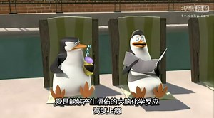 马达加斯加的企鹅第1季-01