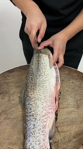 Food maker on TikTok