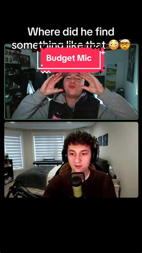 Budget Mic Review: Worth the Hype?